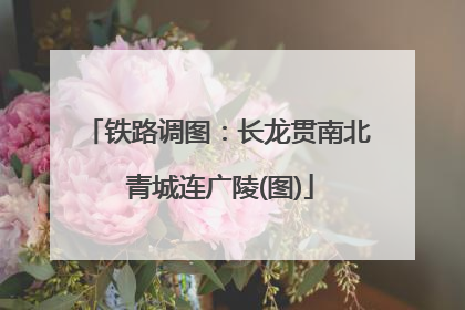 铁路调图：长龙贯南北 青城连广陵(图)