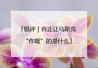 锐评｜真正让马斯克“作呕”的是什么