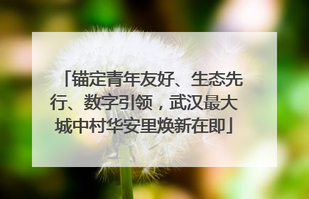 锚定青年友好、生态先行、数字引领，武汉最大城中村华安里焕新在即
