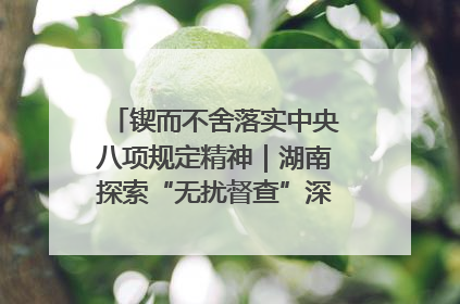 锲而不舍落实中央八项规定精神｜湖南探索“无扰督查”深化基层减负