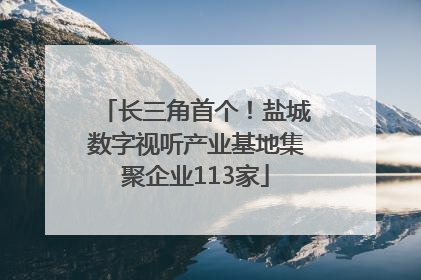 长三角首个！盐城数字视听产业基地集聚企业113家