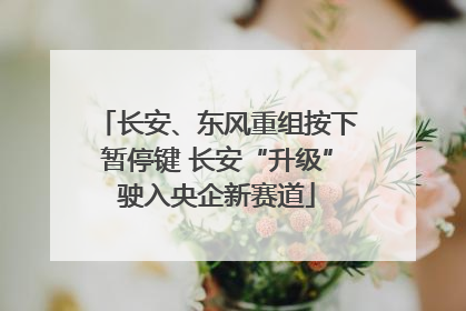 长安、东风重组按下暂停键 长安“升级”驶入央企新赛道