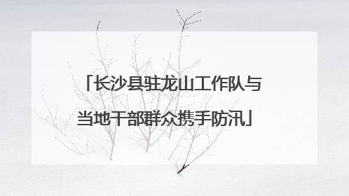 长沙县驻龙山工作队与当地干部群众携手防汛