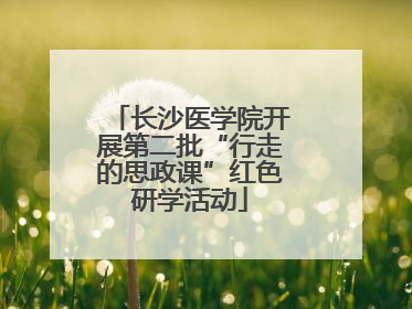 长沙医学院开展第二批“行走的思政课”红色研学活动