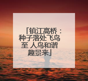 镇江高桥：种子落处飞鸟至 人鸟和谐趣景来