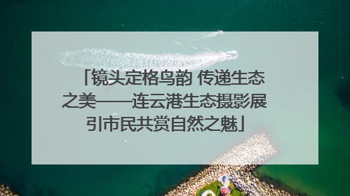 镜头定格鸟韵 传递生态之美——连云港生态摄影展引市民共赏自然之魅
