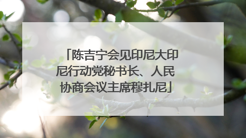 陈吉宁会见印尼大印尼行动党秘书长、人民协商会议主席穆扎尼