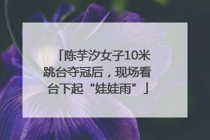 陈芋汐女子10米跳台夺冠后，现场看台下起“娃娃雨”