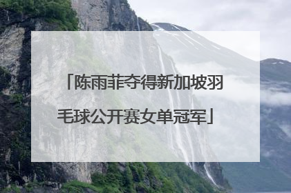 陈雨菲夺得新加坡羽毛球公开赛女单冠军