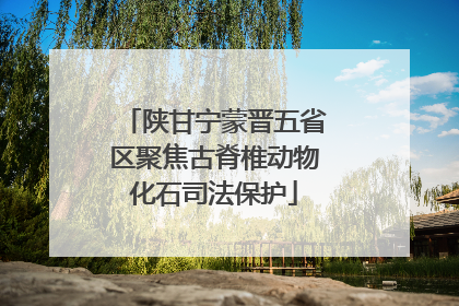 陕甘宁蒙晋五省区聚焦古脊椎动物化石司法保护