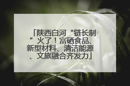 陕西白河“链长制”火了！富硒食品、新型材料、清洁能源、文旅融合齐发力