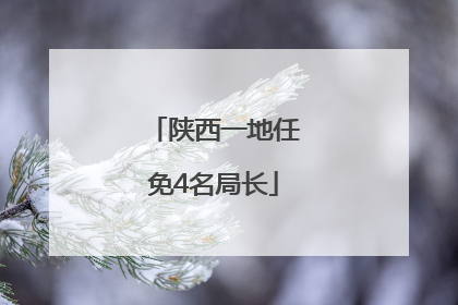 陕西一地任免4名局长