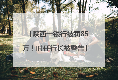陕西一银行被罚85万！时任行长被警告