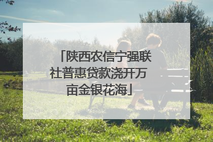 陕西农信宁强联社普惠贷款浇开万亩金银花海