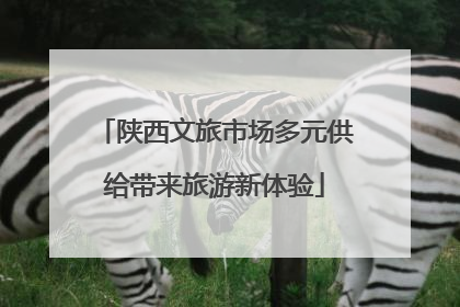 陕西文旅市场多元供给带来旅游新体验