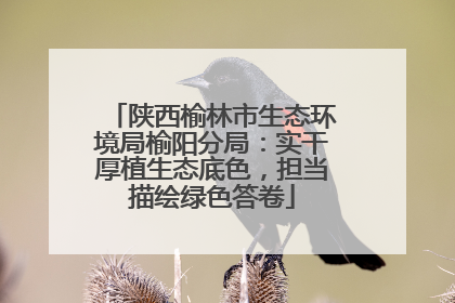 陕西榆林市生态环境局榆阳分局：实干厚植生态底色，担当描绘绿色答卷