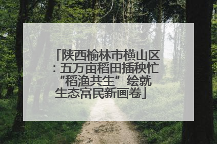 陕西榆林市横山区：五万亩稻田插秧忙 “稻渔共生”绘就生态富民新画卷