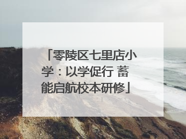 零陵区七里店小学：以学促行 蓄能启航校本研修