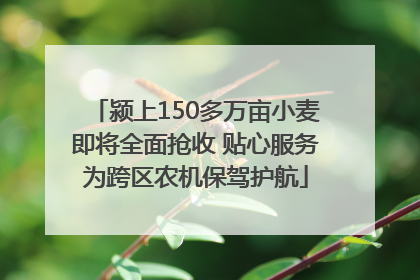 颍上150多万亩小麦即将全面抢收 贴心服务为跨区农机保驾护航