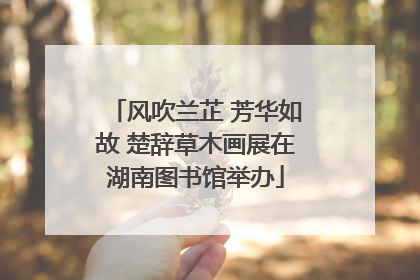 风吹兰芷 芳华如故 楚辞草木画展在湖南图书馆举办