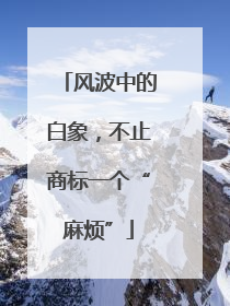 风波中的白象，不止商标一个“麻烦”
