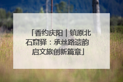 香约庆阳｜镇原北石窟驿：承丝路遗韵 启文旅创新篇章