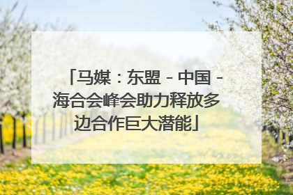 马媒：东盟－中国－海合会峰会助力释放多边合作巨大潜能