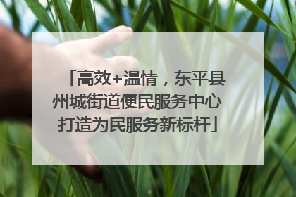 高效+温情，东平县州城街道便民服务中心打造为民服务新标杆