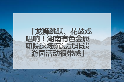 龙狮跳跃、花鼓戏唱响！湖南有色金属职院这场沉浸式非遗游园活动很带感
