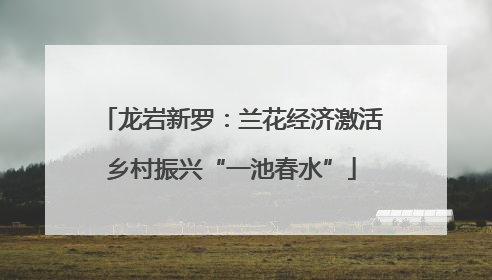 龙岩新罗：兰花经济激活乡村振兴“一池春水”