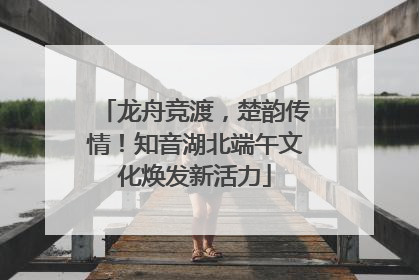 龙舟竞渡，楚韵传情！知音湖北端午文化焕发新活力