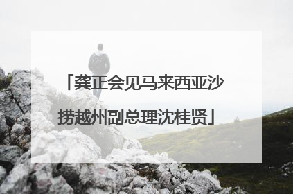 龚正会见马来西亚沙捞越州副总理沈桂贤