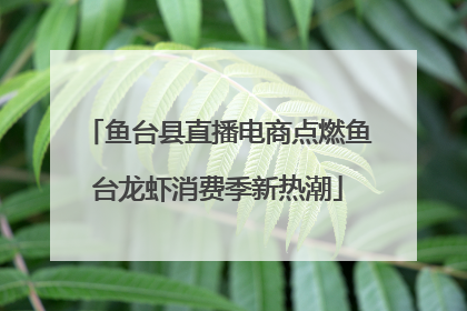 鱼台县直播电商点燃鱼台龙虾消费季新热潮