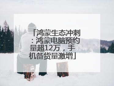 鸿蒙生态冲刺：鸿蒙电脑预约量超12万，手机备货量激增