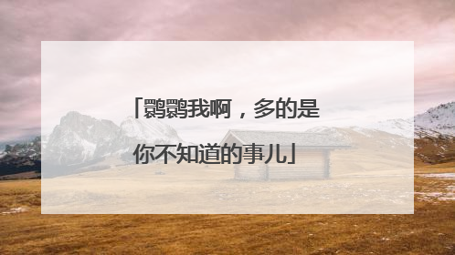 鹮鹮我啊，多的是你不知道的事儿