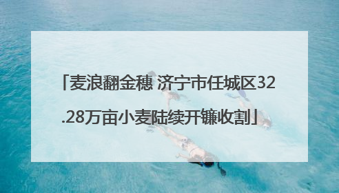 麦浪翻金穗 济宁市任城区32.28万亩小麦陆续开镰收割