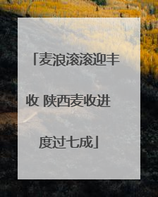 麦浪滚滚迎丰收 陕西麦收进度过七成
