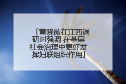 黄晓薇在江西调研时强调 在基层社会治理中更好发挥妇联组织作用