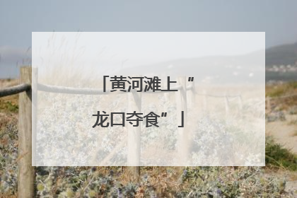 黄河滩上“龙口夺食”