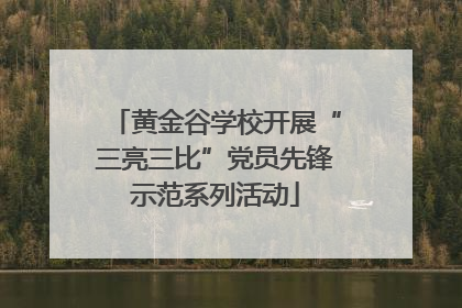 黄金谷学校开展“三亮三比”党员先锋示范系列活动