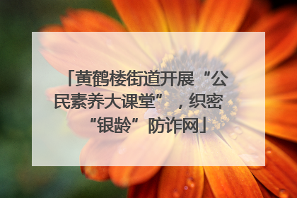 黄鹤楼街道开展“公民素养大课堂”，织密“银龄”防诈网
