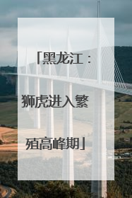 黑龙江：狮虎进入繁殖高峰期