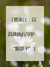 黑龙江：以高效执行守护“粮袋子”