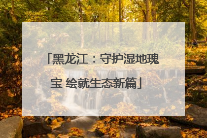 黑龙江：守护湿地瑰宝 绘就生态新篇