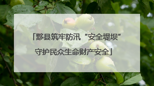 黟县筑牢防汛“安全堤坝” 守护民众生命财产安全