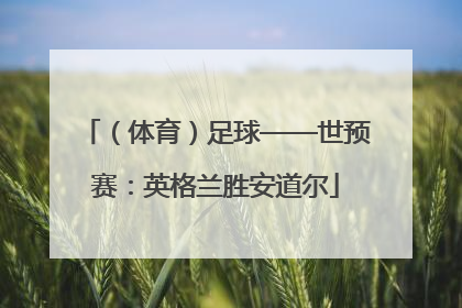 （体育）足球——世预赛：英格兰胜安道尔