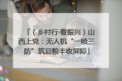 （乡村行·看振兴）山西上党：无人机“一喷三防”筑夏粮丰收屏障