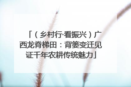 （乡村行·看振兴）广西龙脊梯田：背篓变迁见证千年农耕传统魅力