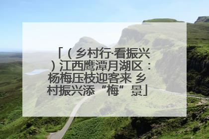 （乡村行·看振兴）江西鹰潭月湖区：杨梅压枝迎客来 乡村振兴添“梅”景