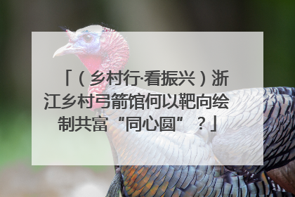 （乡村行·看振兴）浙江乡村弓箭馆何以靶向绘制共富“同心圆”？